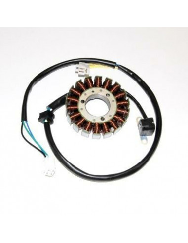 Stator ELECTROSPORT