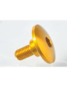 Vis spéciale Ergal 7075 LIGHTECH M7 X 17,5 type 964 argent