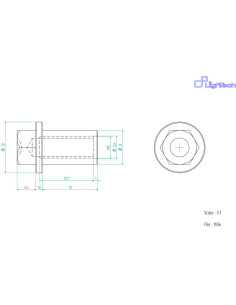 Vis LIGHTECH M5 X 13 Type 1036 Ergal argent à l'unité