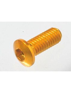 Vis spéciale Ergal 7075 LIGHTECH M6 X 15 type 956 cobalt