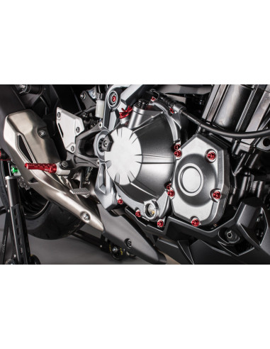 Kit vis moteur LIGHTECH cobalt (25 pièces) Kawasaki Z900