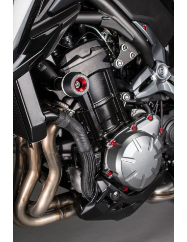 Kit vis moteur LIGHTECH argent (25 pièces) Kawasaki Z900