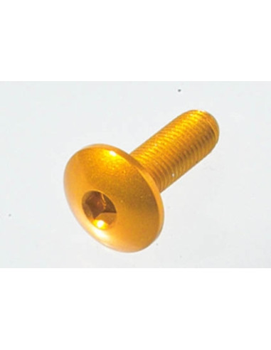 Vis spéciale Ergal 7075 LIGHTECH M4 X 12 type 932 argent