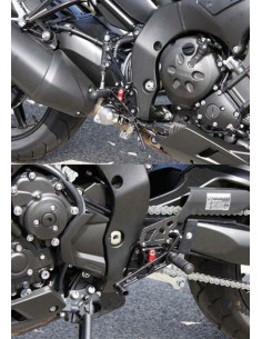 COMMANDES RECULEES MULTIPOSITIONS POUR FZ1 N, FAZER 06-10 2