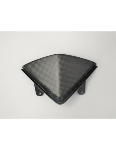 Carter de compteur LIGHTECH carbone mat Ducati Hypermotard 821