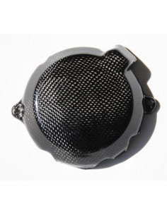 Couvre carter alternateur LIGHTECH carbone brillant Kawasaki Zx10R