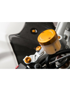 Protection latérale de réservoir LIGHTECH carbone brillant Triumph Speed Triple 1050