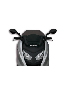 Bulle MALOSSI Sport - BMW C600