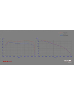 Silencieux YASUNI Scooter 4 Titane - HONDA SH 300 2
