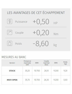 Silencieux MIVV Double Gun 2