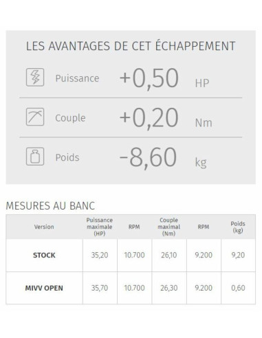 Silencieux MIVV Double Gun