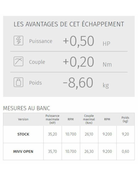 Silencieux MIVV Double Gun
