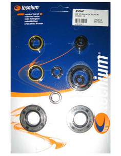 Jeu de joints spi moteur TECNIUM