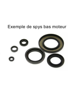 Kit joints spi bas-moteur CENTAURO