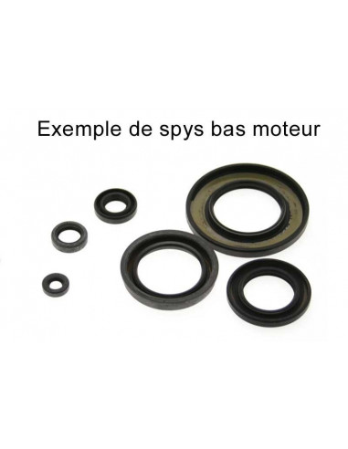 Kit joints spi bas-moteur CENTAURO