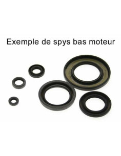 Jeu de joints spi CENTAURO