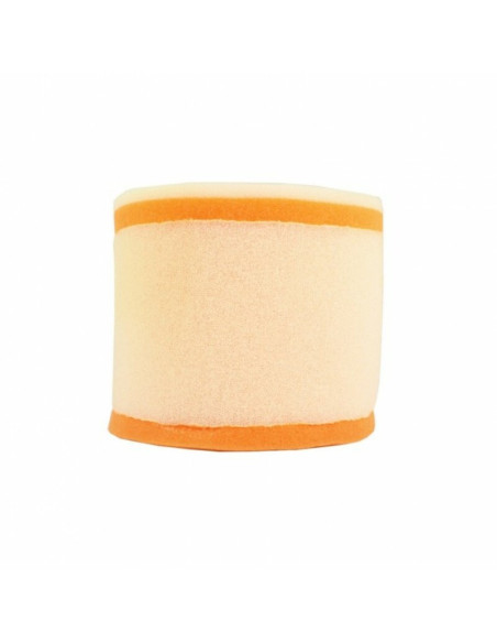 Filtre à air TWIN AIR - 153901 Suzuki