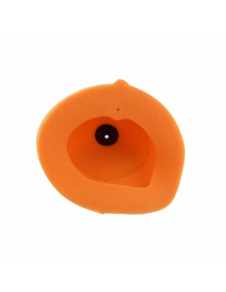 Filtre à air TWIN AIR - 158056 Gas Gas