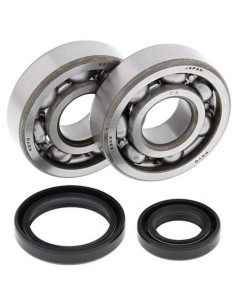 Kit roulements et joints spi de vilebrequin ALL BALLS