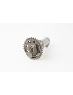 Arbre à cames échappement HOT CAMS - Niveau 2 Yamaha WR250F/YZ250F