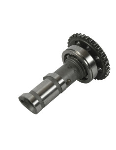 Arbre à cames échappement HOT CAMS - Niveau 1 Yamaha YFZ450 2