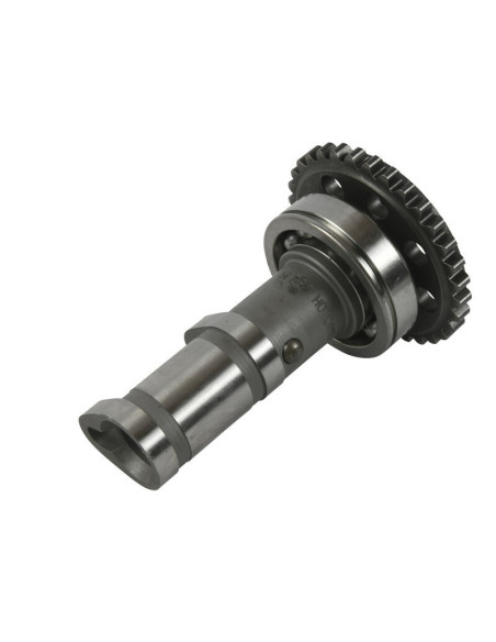 Arbre à cames échappement HOT CAMS - Niveau 1 Yamaha YFZ450