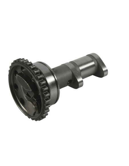 Arbre à cames échappement HOT CAMS - Niveau 1 Yamaha YFZ450