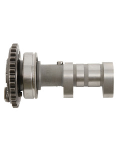 Arbre à cames échappement HOT CAMS - Niveau 2 Yamaha YZ450F