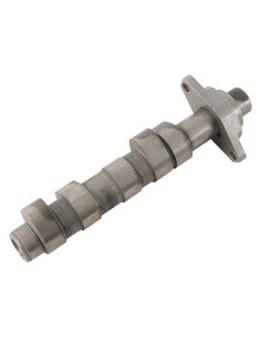 Arbre à cames HOT CAMS - Niveau 1 Honda 2