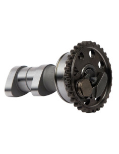 Arbre à cames échappement HOT CAMS - Niveau 1 Yamaha YZ250F