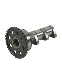 Arbre à cames admission HOT CAMS - Niveau 1 Yamaha YFZ450 2