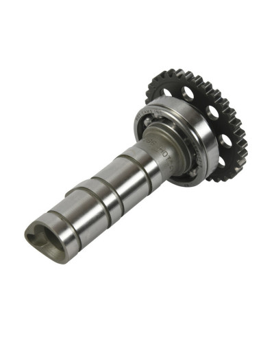 Arbre à cames admission HOT CAMS - Niveau 1 Yamaha YFZ450
