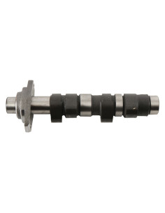 Arbre à cames HOT CAMS - Niveau 1 Honda XR400R