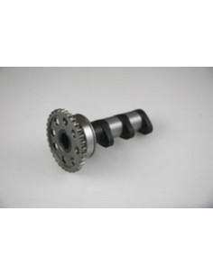 Arbre à cames échappement HOT CAMS - Niveau 1