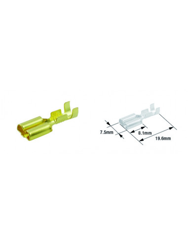 Cosse femelle électrique TOURMAX type 250