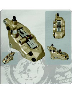 Etrier de frein 6 pistons avant gauche Or Nissin 2