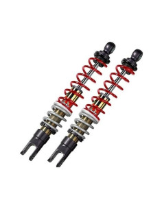 Bi-amortisseur arrière BITUBO YGB01