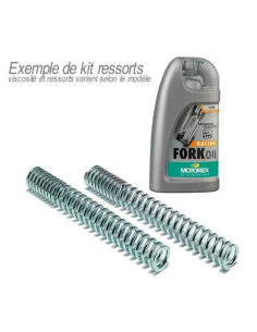Kit ressort de fourche BITUBO tarage 1,1 avec huile de fourche MOTOREX Kawasaki Z1000 SX