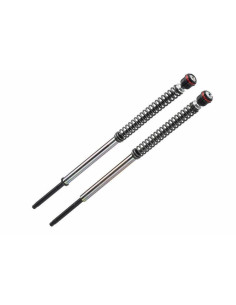 Kit cartouche de fourche Bitubo JBH -30mm HARLEY DYNA FXDB1 STREET BOB