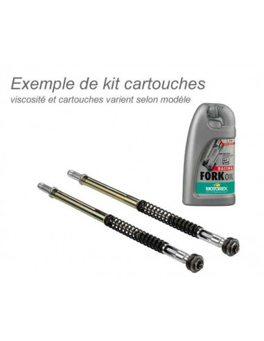 Kit cartouches de fourche BITUBO + huile de fourche MOTOREX BMW S1000RR