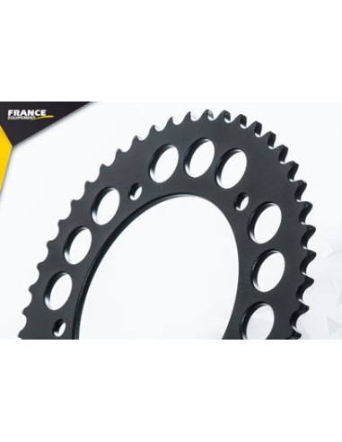 INDIAN 1200.FTR/FTR S '19 17X49 RK525FEX