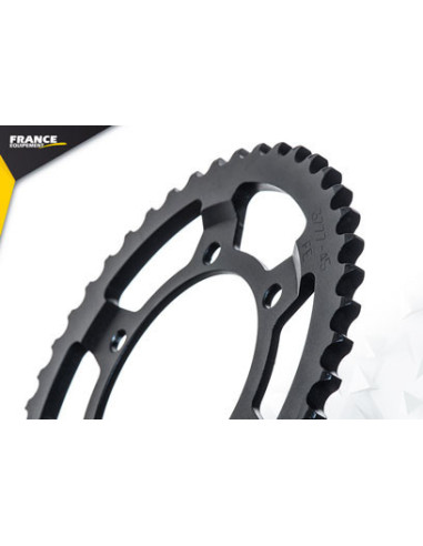 R1.1000 YZF '04/05 17X45 RK530FEX µ  (RN12)