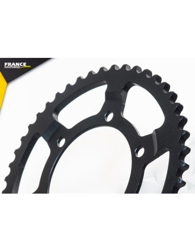 R1.1000 YZF '09/14 17X47 RK530FEX µ