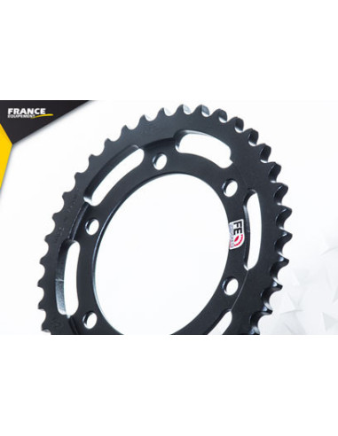 XJR.1300 '04/06 18X39 RK530FEX µ