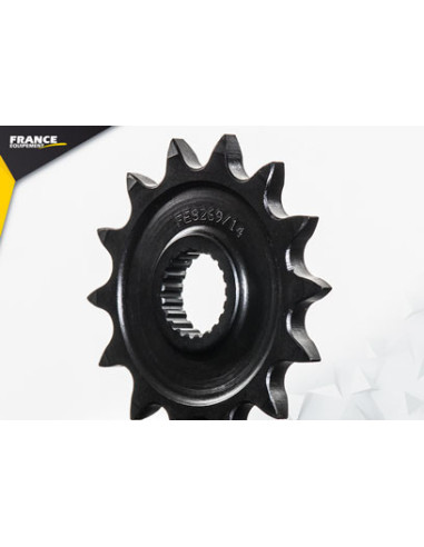 CRF.250.X '04/20 4T 14X53 RK520FEX  Version Enduro