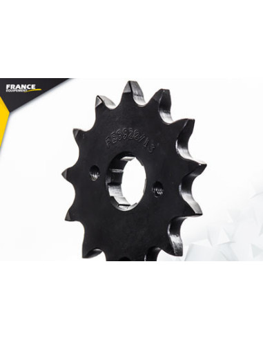 XR.250.RJ/RK '88/89 13X48 RK520FEX  (ME06)