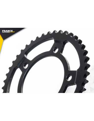 CBR.1100.XX '97/07 17X44 RK530FEX µ  (SC35)