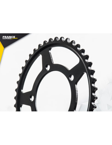 900.SHIVER Abs '17/20 16X44 RK525FEX *