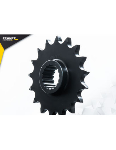 F.650 GS '08/15 17X41 RK525KRO µ (percage 8.5 mm)