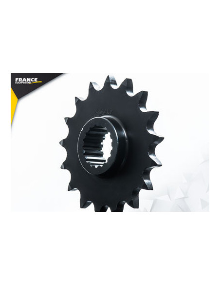 F.650 GS '08/15 17X41 RK525FEX * (perçage 10.5 mm)